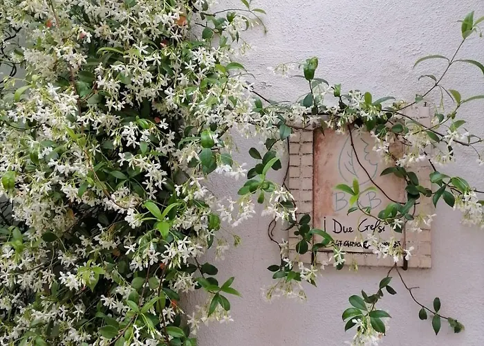 B&B I Due Gelsi